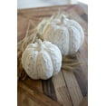 thumbnail image 1 of SET OF TWO FAUX WHITEWASH PUMPKINS, 1 of 4