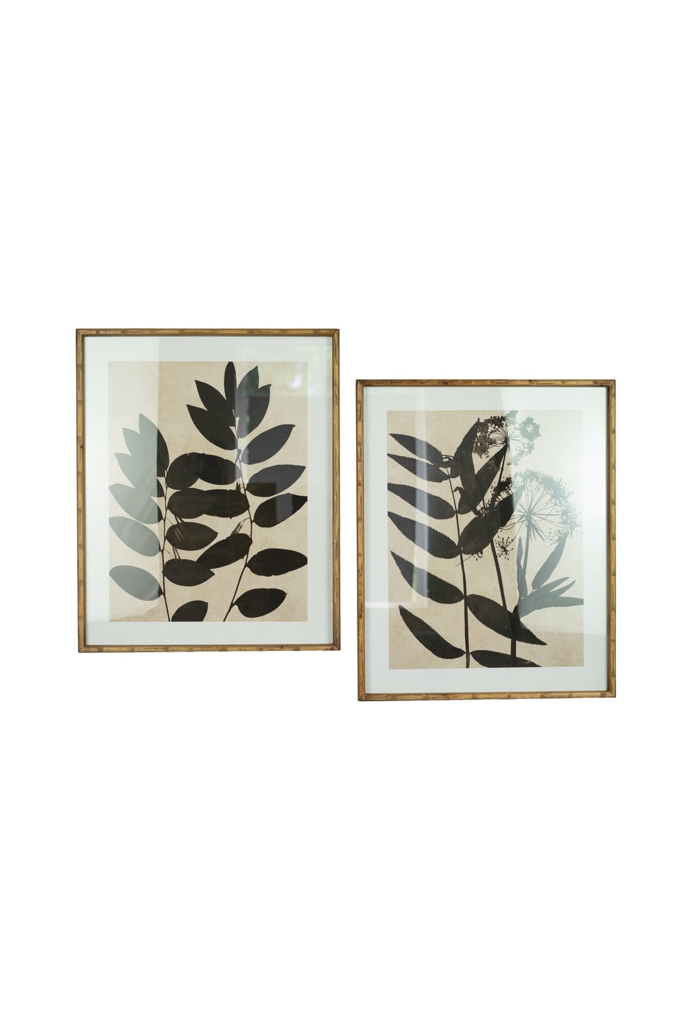 Set of Two Framed Black Leaf Prints Under Glass
