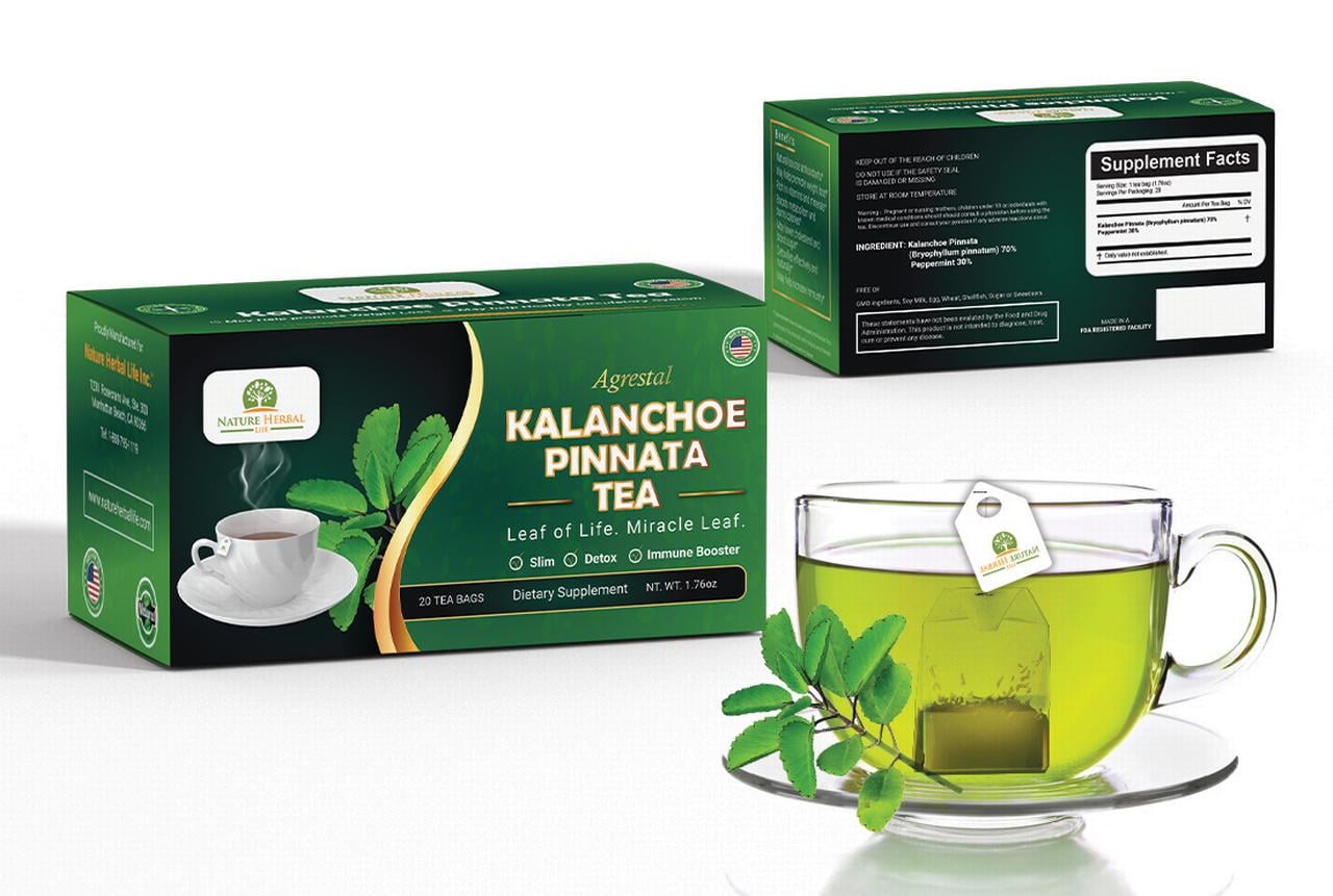 Kalanchoe Pinnata-Leaf of Life (Bryophyllum Pinnatum) Tea- Antioxidantes  (20 Tea Bags) - Walmart.com