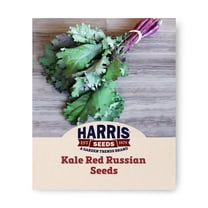 Harris Seeds Kale Red Russian Seeds For Planting, Flat Green Leaves, 1 Ounce