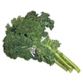thumbnail image 1 of 99 Ranch Fresh Kale - Curly Green Kale Bunch, Pre-Washed, Great For Salads, Smoothies, Sauteing, Refrigerated Produce, 1 Bunch,, 1 of 1
