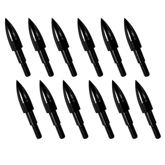 Kaleduo 12 Pack Archery Arrow Tips, 5/16 Inch Screw-In Field Points 100/125/150/200 Grain for Recurve, Compound & Crossbow Practice
