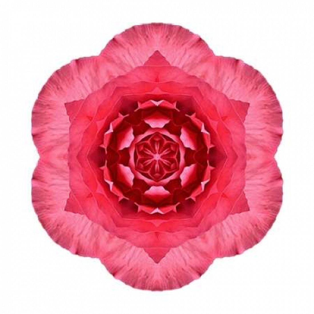 Kaleidoscope Begonia Canvas Art - David Bookbinder (24 x 24)