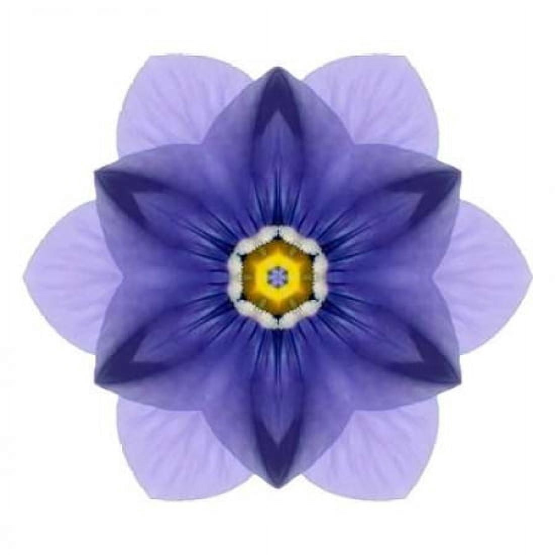 Kaleidoscope Blue Bell Canvas Art - David Bookbinder (24 x 24)