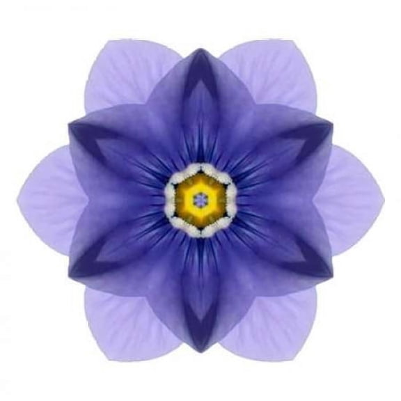 Kaleidoscope Blue Bell Canvas Art - David Bookbinder (24 x 24)