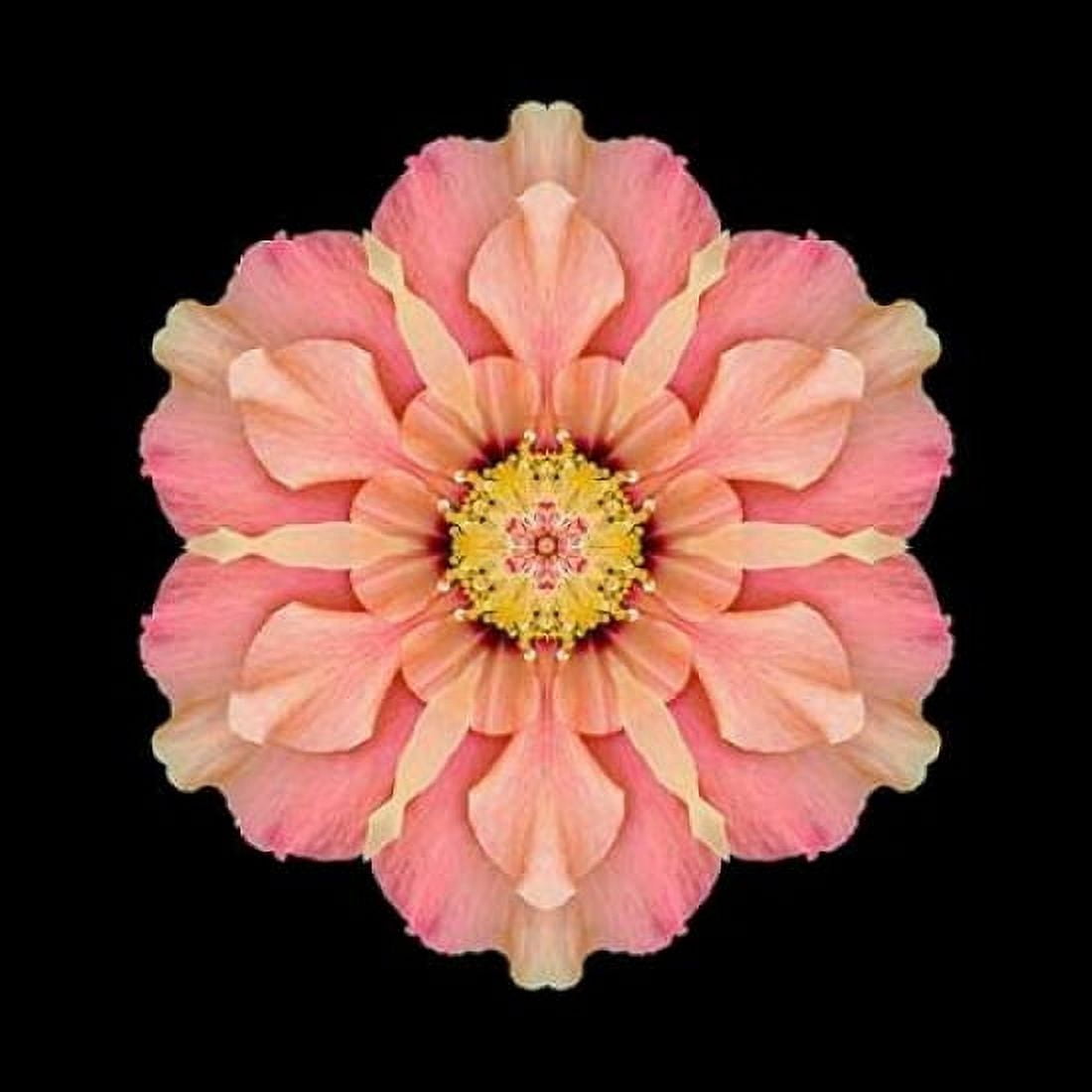 Kaleidoscope Hibiscus Canvas Art - David Bookbinder (24 x 24)