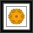 thumbnail image 1 of Kaleidoscope Marigold 2x Matted 20x20 Black Ornate Framed Art Print by Bookbinder, David, 1 of 2