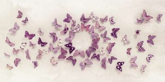 Kaleidoscope of Butterflies Canvas Art - Ian Winstanley (24 x 48)
