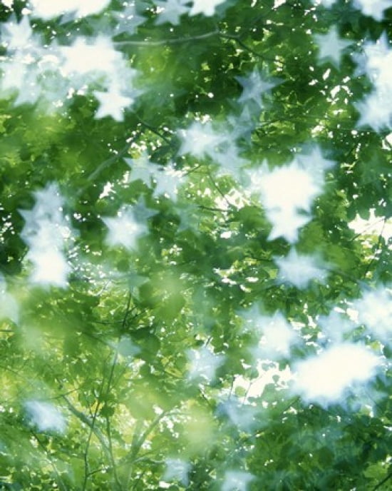 Kaleidoscopic scene with white stars with green and blue Canvas Art - Panoramic Images (20 x 24)