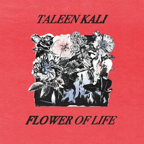 Kali,Taleen - Flower Of Life - Music & Performance - CD