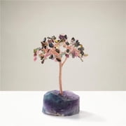 Kalifano K913F-TR Tourmaline Natural Gemstone Tree of Life with Fluorite Base