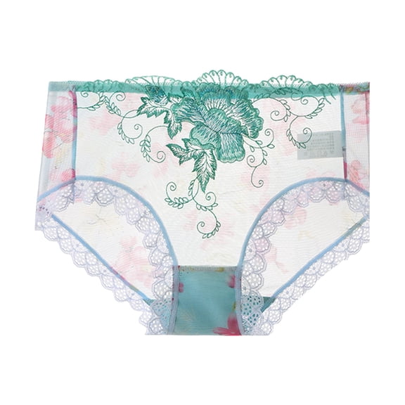 Kaliqueen Women's Plus Size Briefs Lace Trim Not Show Underwear Sheer Mesh Embroidery Flower Plus Size Curvy Silky French Cut Panties