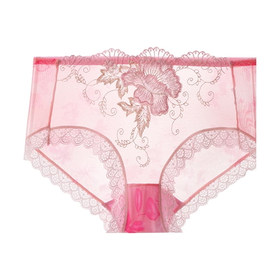 Kaliqueen Women's Plus Size Briefs Lace Trim Not Show Underwear Sheer Mesh Embroidery Flower Plus Size Curvy Silky French Cut Panties