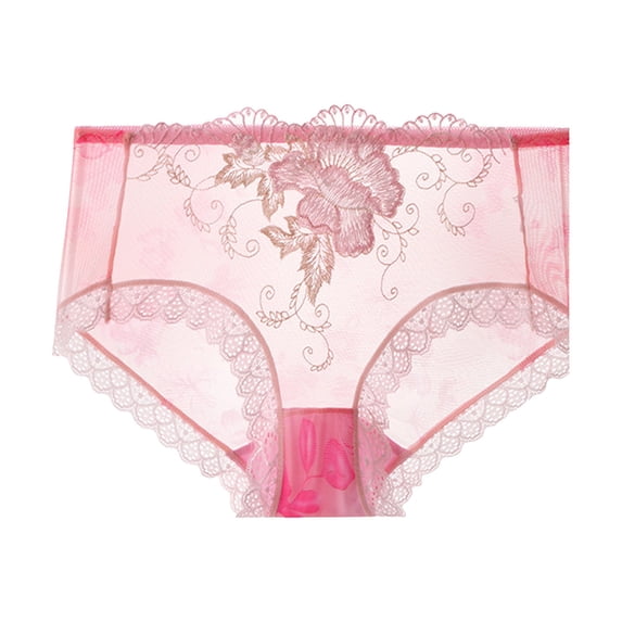 Kaliqueen Women's Plus Size Briefs Lace Trim Not Show Underwear Sheer Mesh Embroidery Flower Plus Size Curvy Silky French Cut Panties