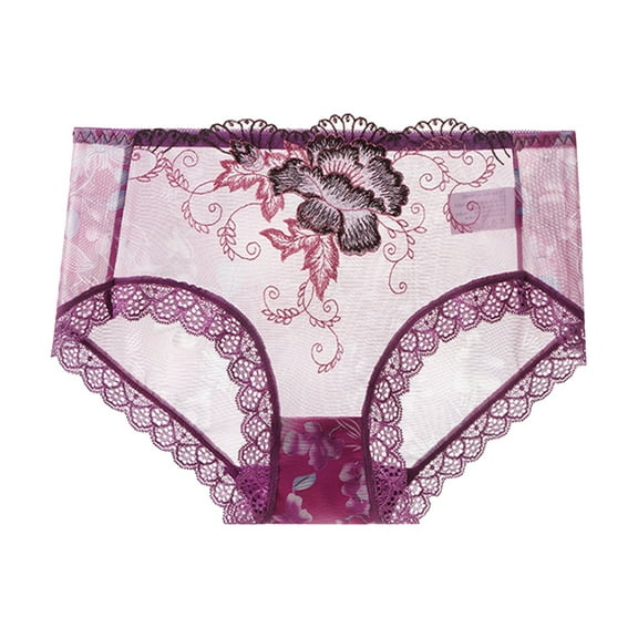 Kaliqueen Women's Plus Size Briefs Lace Trim Not Show Underwear Sheer Mesh Embroidery Flower Plus Size Curvy Silky French Cut Panties