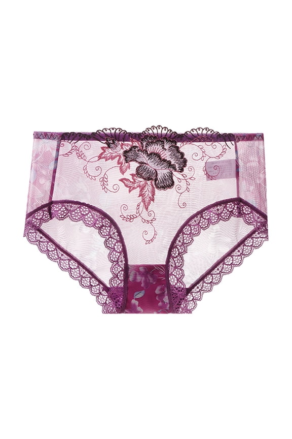 Women's Plus Size Briefs Lace Trim Not Show Underwear Sheer Mesh Embroidery Flower Plus Size Curvy Silky French Cut Panties
