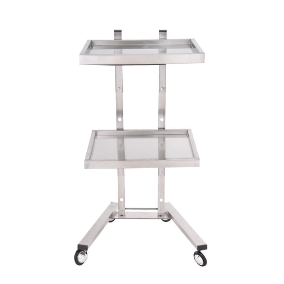 Kalkiam Stainless Steel Salon Cart Salon Beauty Stainless Steel Trolley Tray Cart Stylish and Elegant Beauty Hair Cart for Bathroom Kitchen Bedroom and Living Room good