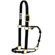 Kalley Krickeberg Horsemans Halter by Weaver Leather