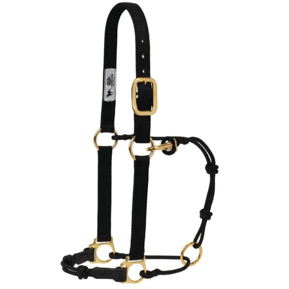 Kalley Krickeberg Horseman's Halter by Weaver Leather