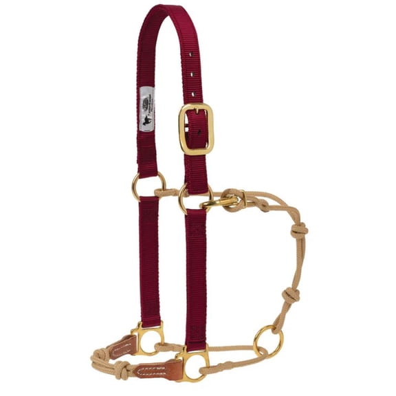 Kalley Krickeberg Horseman's Halter by Weaver Leather