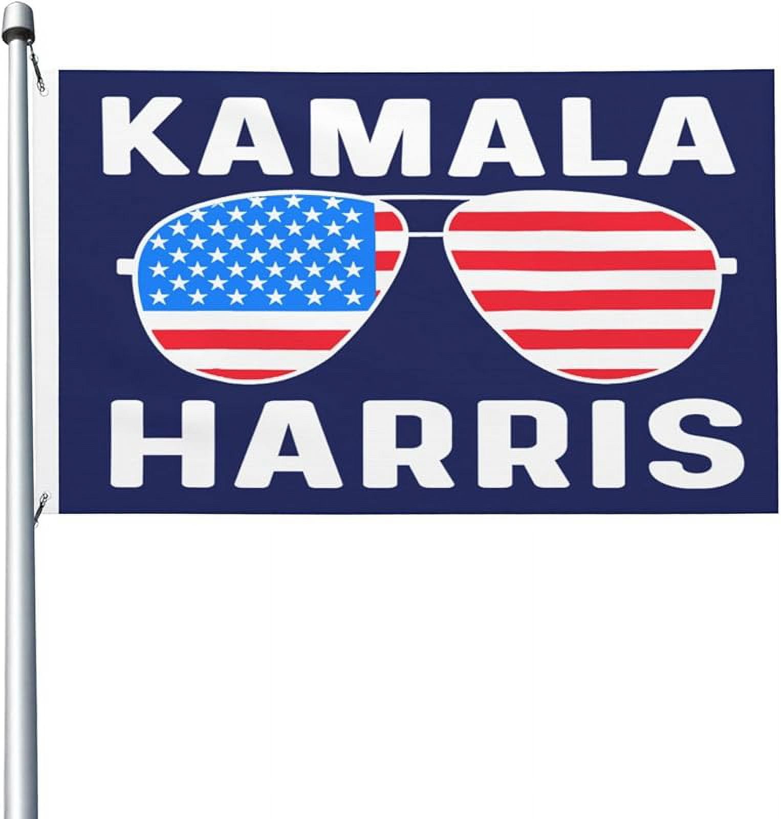 Kamala Harris 2024 Flag For Room Guys Double Sided Funny Flag Wall Art ...