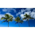 thumbnail image 1 of Kamaole One and Two beaches Kamaole Beach Park; Kihei Maui Hawaii United States of America Poster Print by Lorna Rande #, 1 of 3