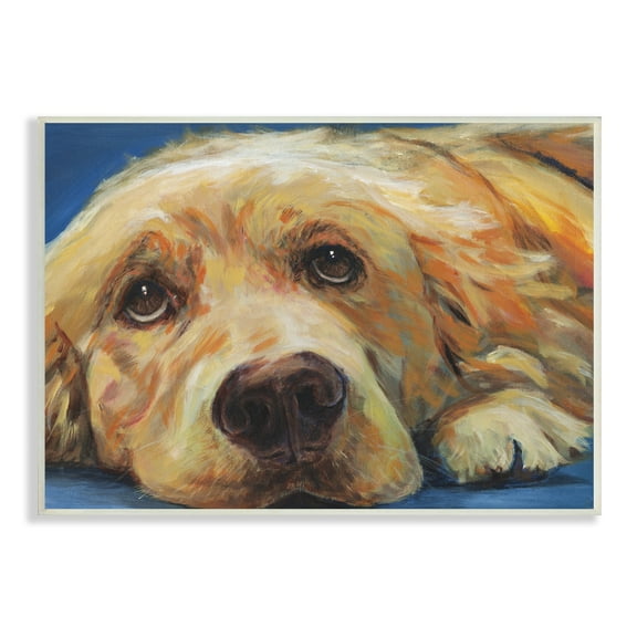 Stupell Industries Golden Retriever Begging Eyes Expressive Dog Portrait,15 x 10, Design by Kamdon Kreations