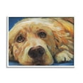 thumbnail image 1 of Kamdon Kreations Golden Retriever Begging Eyes Expressive Dog Portrait 30" x 24" Framed Painting Art Print, by Stupell Home Décor, 1 of 5