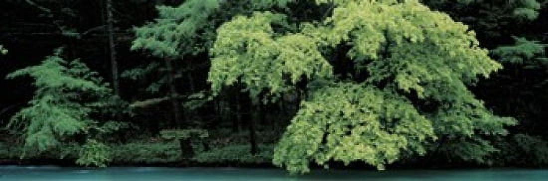 Kamikochi Nagano Japan Canvas Art - Panoramic Images (36 x 12)