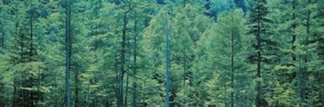 Kamikouchi Nagano Japan Canvas Art - Panoramic Images (18 x 6)