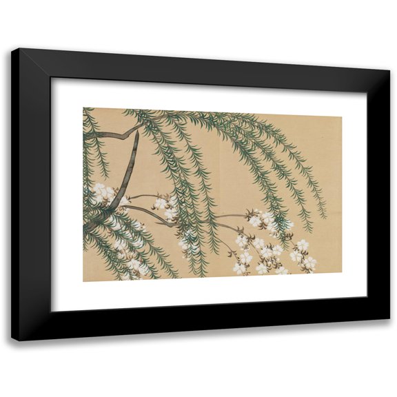 Kamisaka Sekka 14x11 Black Modern Framed Museum Art Print Titled - Willow and Cherry (Yanagizakura) (1909-1910)