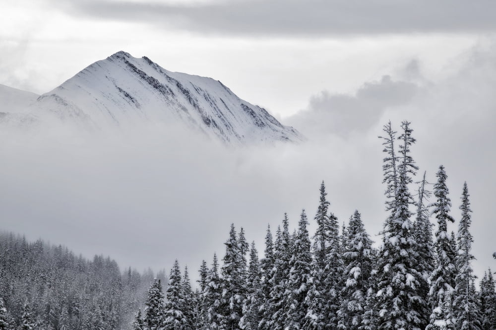 Kananaskis Country In Winter Peter Lougheed Provincial Park Alberta Canvas Art - Darwin Wiggett Design Pics (17 x 11)