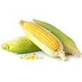thumbnail image 1 of Kandy Korn Hybrid Corn Garden Seeds - 1 Lb - Non-GMO Vegetable Gardening Seeds - Yellow Sweet (SE) Corn Seed & Micro Shoots 1 Lb Pouch, 1 of 7