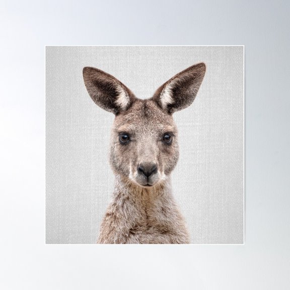 Kangaroo 2 - Colorful Poster Wall Art, Modern Wall Decor For Living Room Bedroom, 17x17 UNFRAMED
