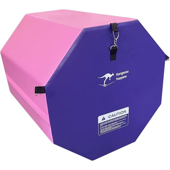 Kangaroo Hoppers 24" x 26" Gymnastics Octagon Tumbling Mat with Carrying Handles for Home Gym Exercise (Pink/ Purple)