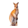 thumbnail image 1 of Kangaroo Lifelike Plush Stuffed Animal Soft Cuddly Jungle Friend for Decorative Display and Animal Enthusiasts Unique Handcrafted Striped Companion Kangaroo, 1 of 5