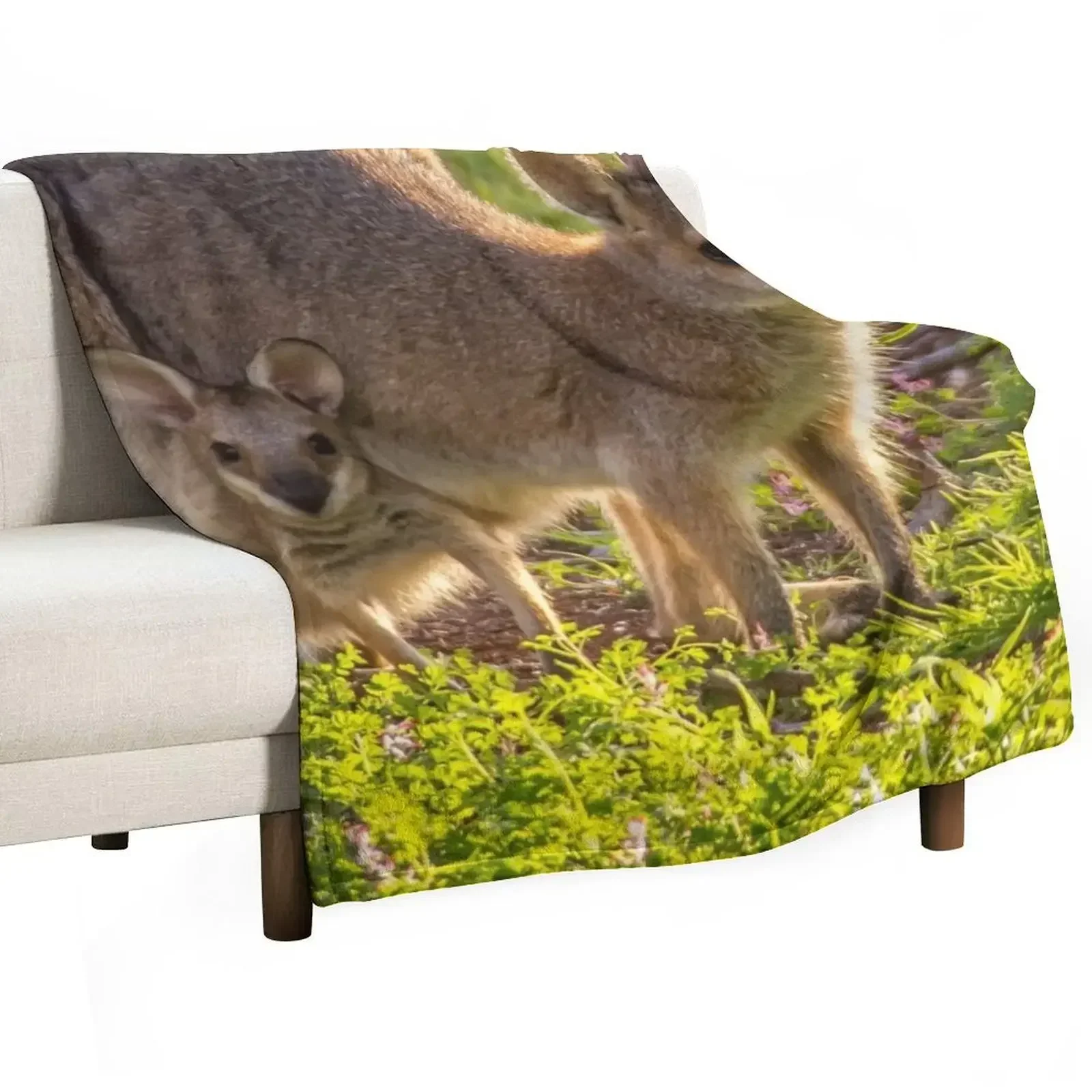 Kangaroo Throw Blanket Large Extra Large Throw Blankets