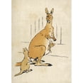 thumbnail image 1 of Kangaroos Aldin 1907 Poster Print By Mary Evans Picture Library (24 X 36), 1 of 3