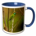 thumbnail image 1 of 3drose, Kanha, Little Green Bee-eater Bird - As10 Jmc0011 - Joe and Mary Ann Mcdonald, 11oz Two-tone Blue Mug, 1 of 6