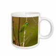 thumbnail image 1 of 3drose, Kanha, Little Green Bee-eater Bird - As10 Jmc0011 - Joe and Mary Ann Mcdonald, 15oz Mug, 1 of 6