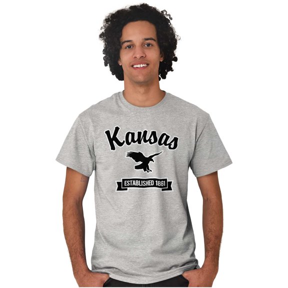 Kansas Cute Bald Eagle Souvenir Men's Graphic T Shirt Tees Brisco Brands L