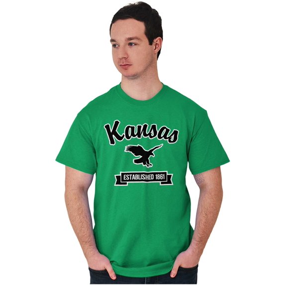 Kansas Cute Bald Eagle Souvenir Men's Graphic T Shirt Tees Brisco Brands M