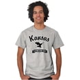 thumbnail image 1 of Kansas Cute Bald Eagle Souvenir Men's Graphic T Shirt Tees Brisco Brands X, 1 of 4
