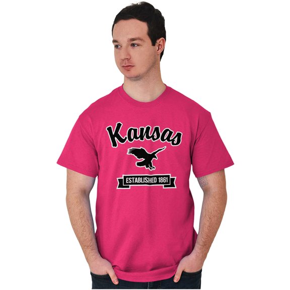 Kansas Cute Bald Eagle Souvenir Men's Graphic T Shirt Tees Brisco Brands X