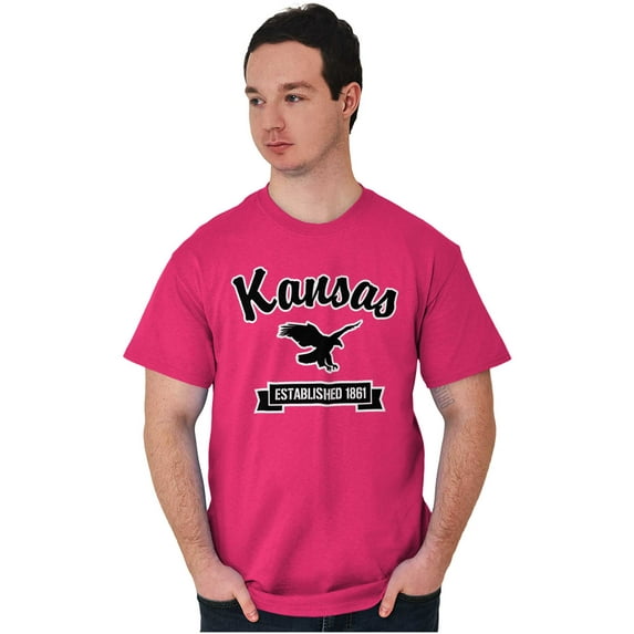 Kansas Cute Bald Eagle Souvenir Plus Size Crewneck Graphic Tee Shirt Brisco Brands 2X