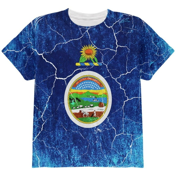 Kansas Vintage Distressed State Flag All Over Youth T Shirt Multi YSM