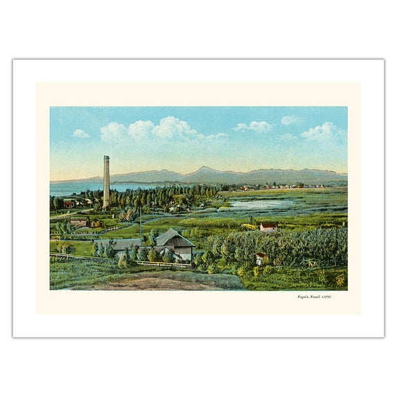 Kapaa Kauai - Territory of Hawaii - Vintage Hawaiian Color Postcard c.1930 - Bamboo Fine Art 290gsm Paper Print (Unframed) 18x24in