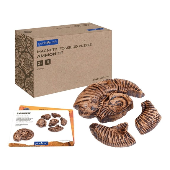 Kaplan Early Learning Company Magnetic Fossil 3D Puzzle - Ammonite - 6 Pieces