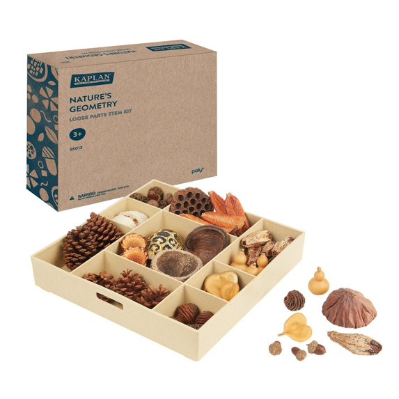 Kaplan Early Learning Company Nature's Geometry: Loose Parts STEM Kit ...