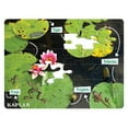thumbnail image 1 of Kaplan Early Learning Company Frog Life Cycle Floor Puzzle from Egg to Frog - 24 Pieces, 1 of 3